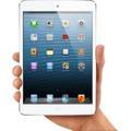 Apple iPad mini 16GB Wifi