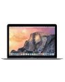 Apple MacBook MJY32ZA/A